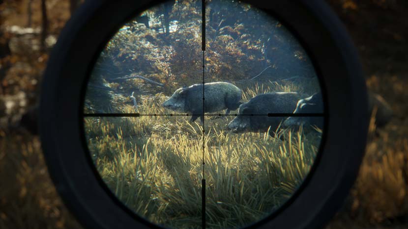 theHunter Call of the Wild realistic hunting gameplay