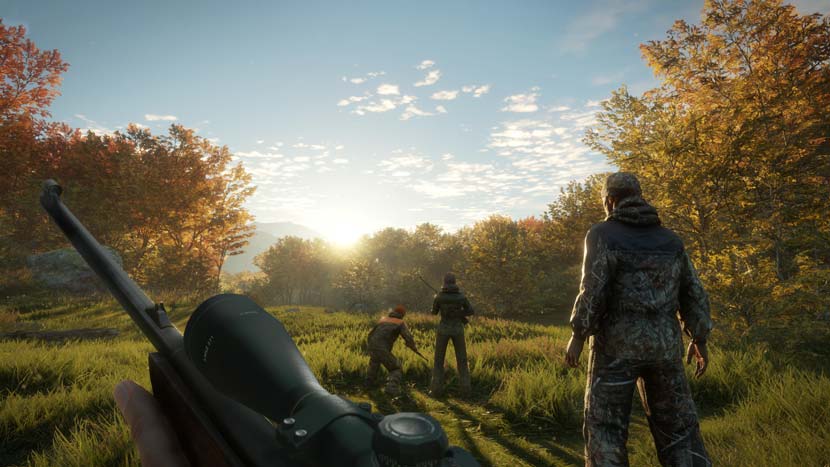 animal tracking in forest
