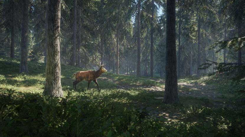 Scope hunting view