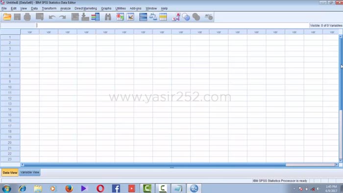 IBM SPSS Statistics 20 data analysis interface