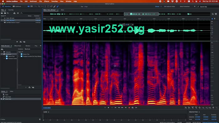 Adobe Audition 2022 MacOS Free Download Full Crack